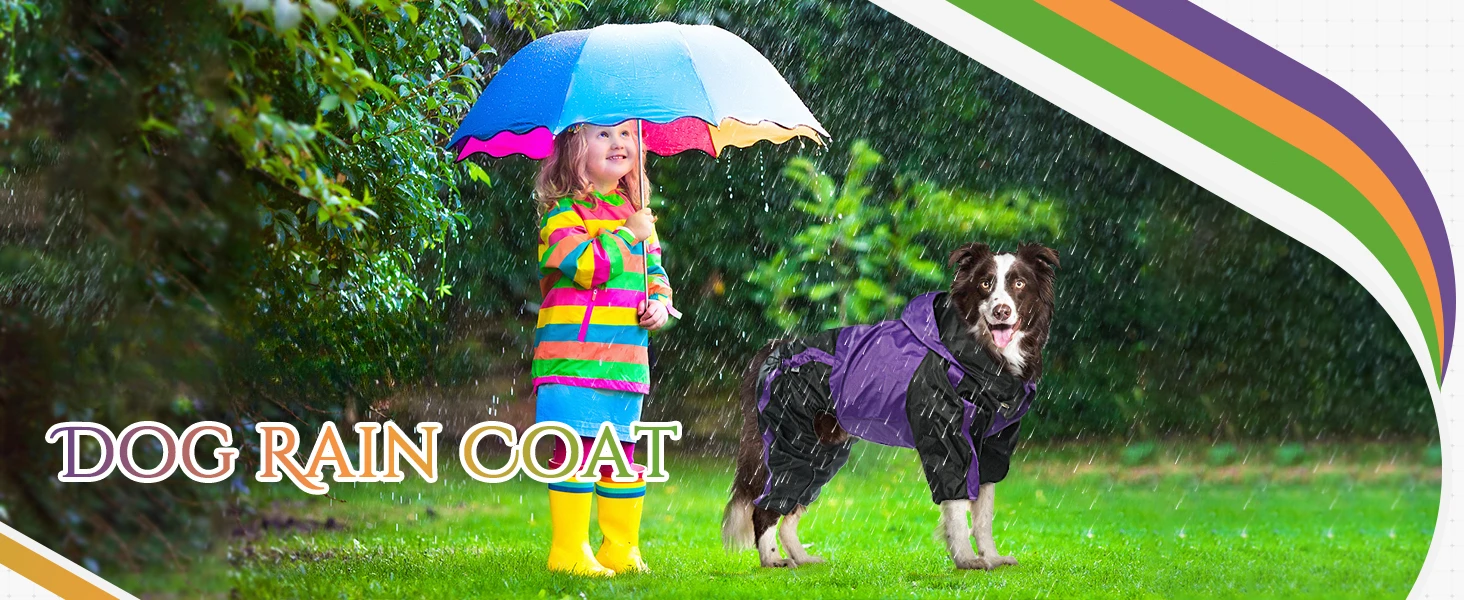 dog raincoat