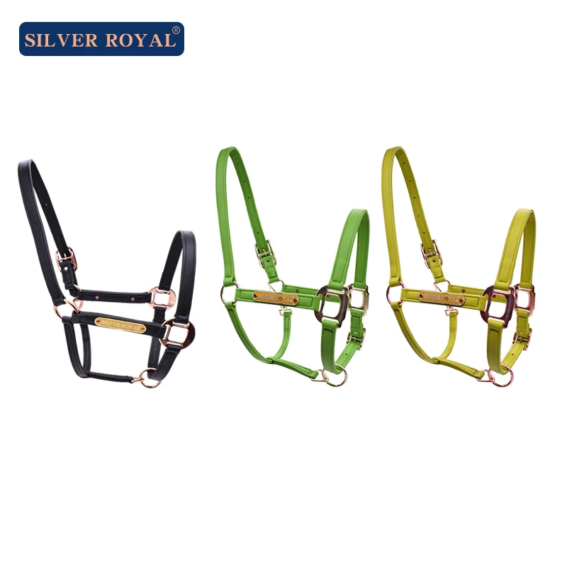 Harnais De Cheval En Laiton Vintage - Têtes De Cheval Moulées - Angleterre