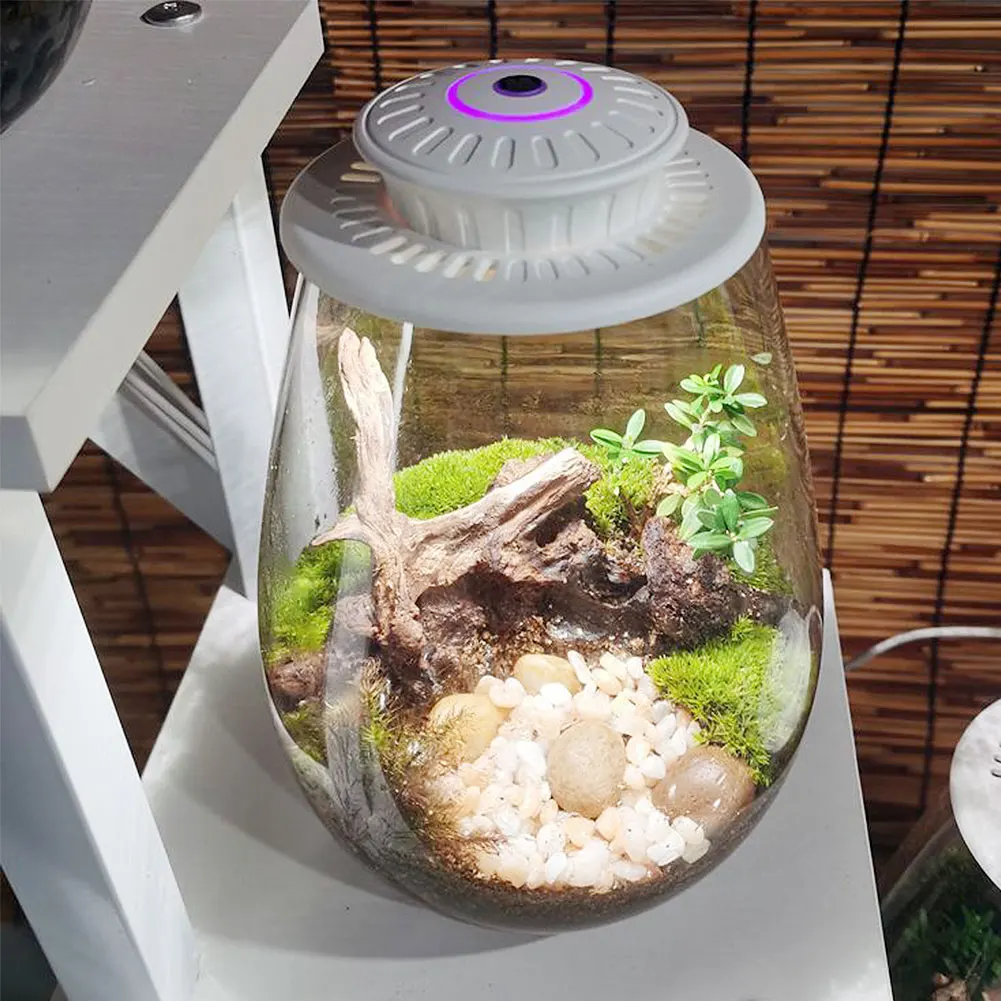 Micro Landscape Plant Growth Lamp with Timer Desktop Miniature Plant Growing Light for Indoor Plants Succulents Mini Bonsai plant growth lamp