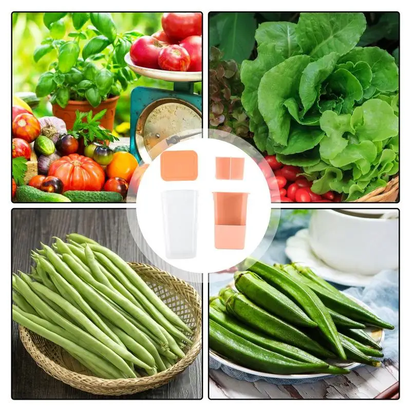Herb Saver Premium Herb Storage Container Keeps Greens Vegetables Fresh Premium Keeper Clear Spice Fridge Preserver Storage