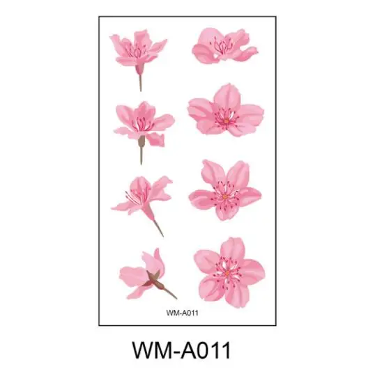 Image 21