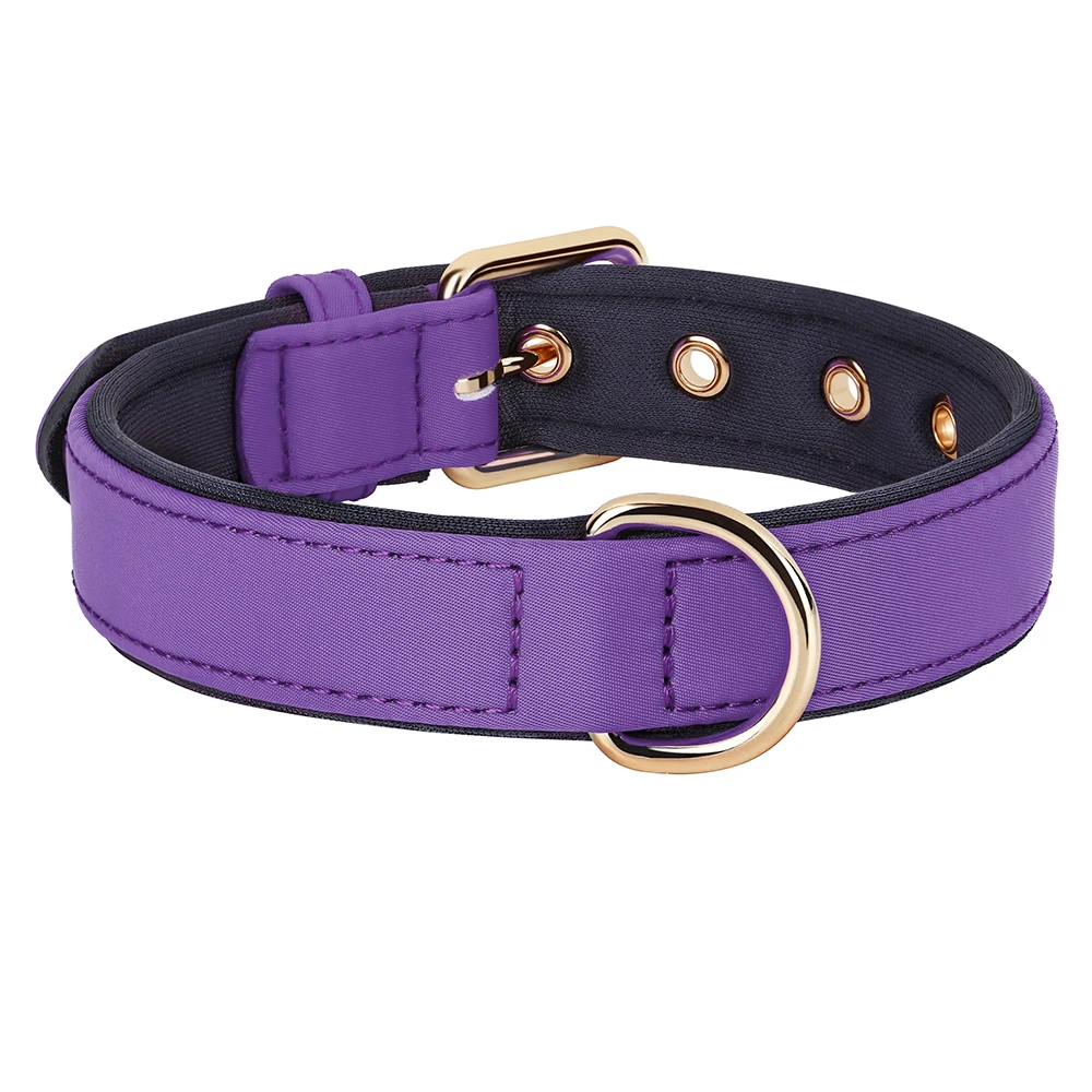 8-farbiges Hundehalsband, wasserdichte Nylon-Hundehalsbänder, Halskette, weich gepolstert, Haustier-Halskette für kleine und mittelgroße Hunde, Chihuahua-Mops, langlebig – Detail 8