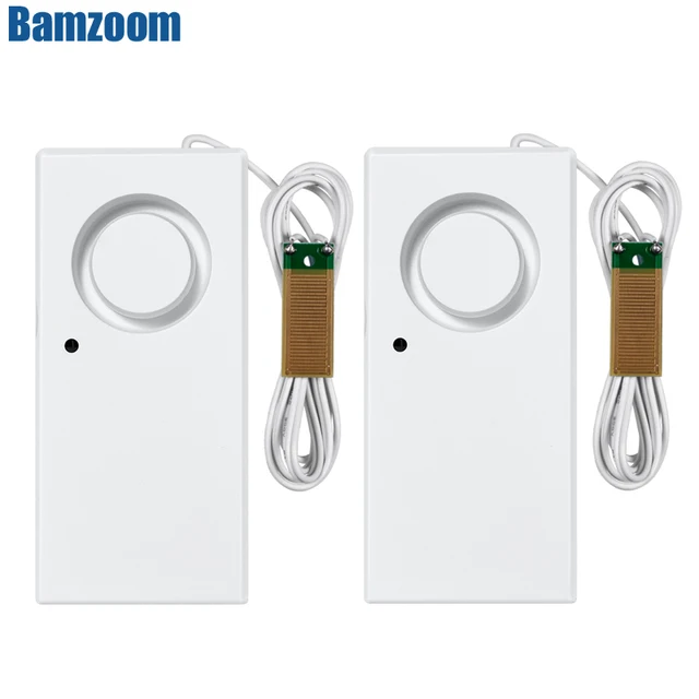 2pcs WS1