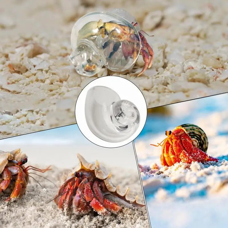 Hermit Crab House Clear Glass Conch Shells For Hermit Crab Fish Tank Ornaments Spiral Shells Art Supplies Decor