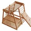 ZF Beech Multi-Functional Climbing Frame Indoor Family Playground Baby Swing Hanging Ring Drawing Board Slide 1