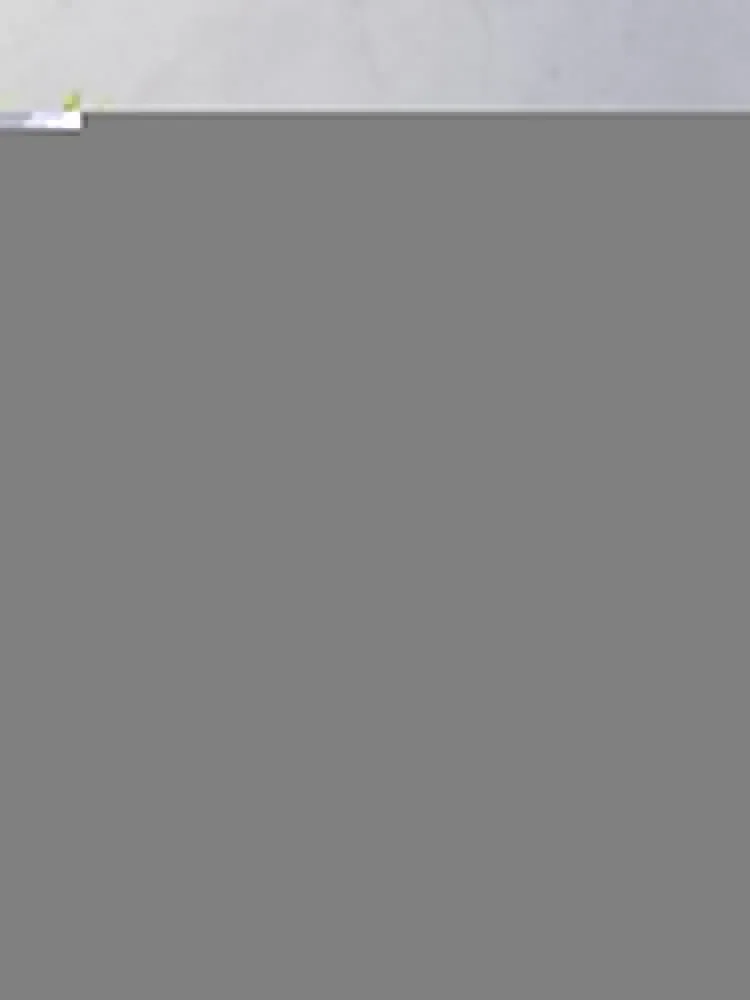 �ڶ������� �罿 ������ ���, �мųʺ��� ����� �� �ʼ�ǰ, �ܿ�� ������ ķ�� ���