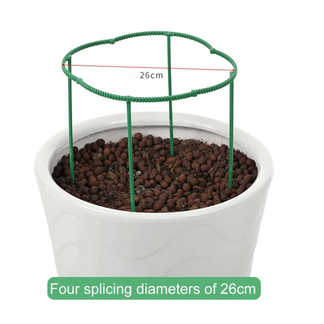 26cm
