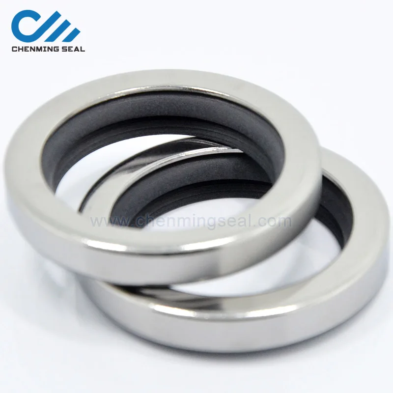 100x120x12 PTFE Lip Stainless Steel Oil Seal Dual Lip Screw Air Compressor Spare Parts 100*120*12
