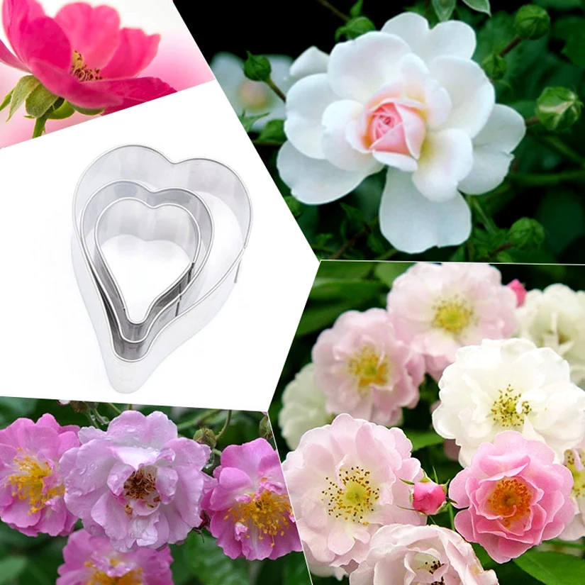 3 Pz/Set Rosa Multiflora Petalo Cutter Set Strumenti Per Decorare Biscotti Torta Fondente In Acciaio Inossidabile