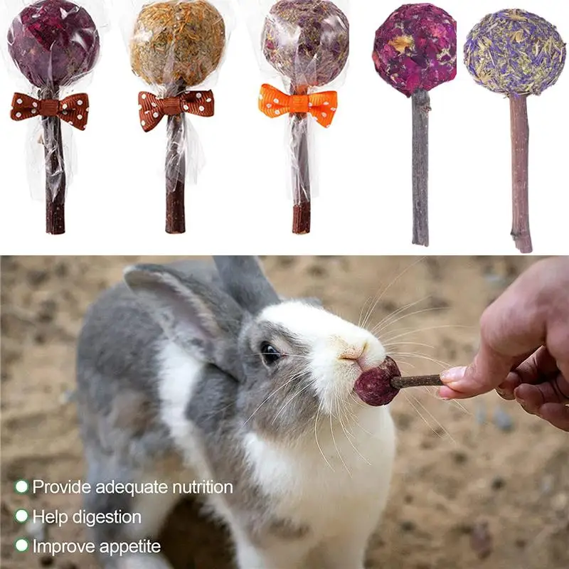 1pc Bunny Chew Toy Lollipop of Teeth Natural Apple Wood Stick With