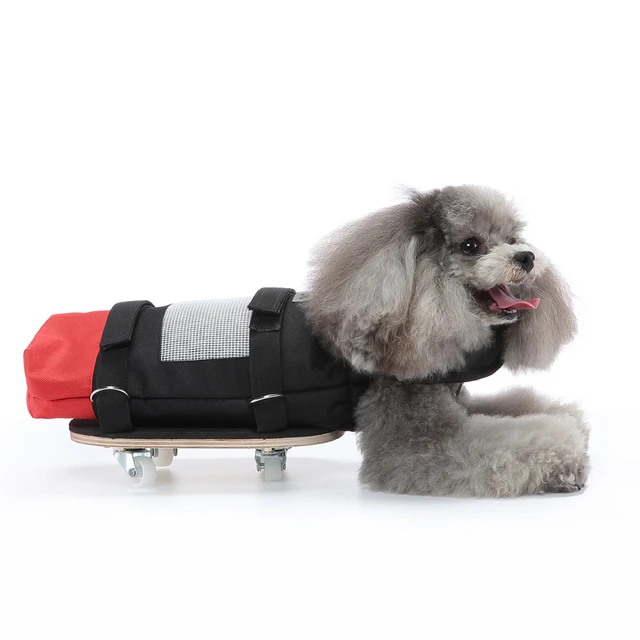 Fauteuil roulant respirant confortable pour chien, support de