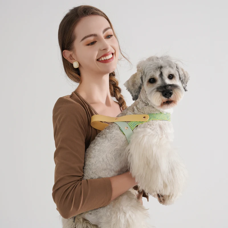 Dog walking Simple Style Harness Pet Supplies Fashionable Black & White Striped Chest Harnesses And Leashes Set For Running Dog for pet harness leash set,pet harness set
