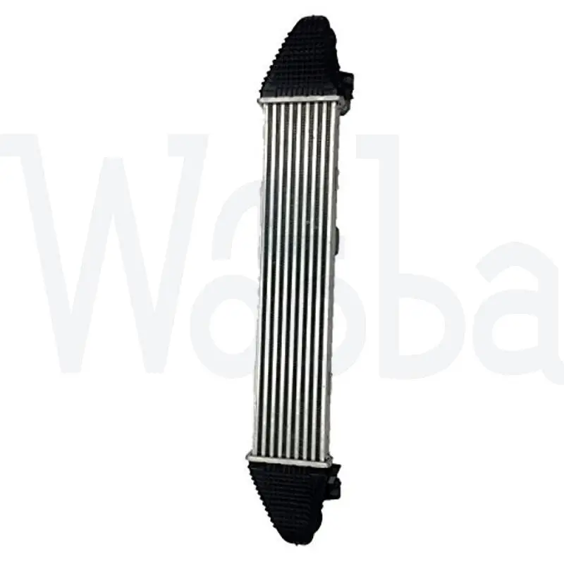 

Wooba E151 Intercooler Charge Air Cooler for Mercedes-Benz C250 SLK250 2012-2013 2045000100 A2045000100 204 500 01 00