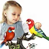 Electronic Pet Birds Toys Electric Voice-Controlled Induction Bird Simulation Parrot Can Fly Talk Birdcage Toy Kid Birthday Gift 3