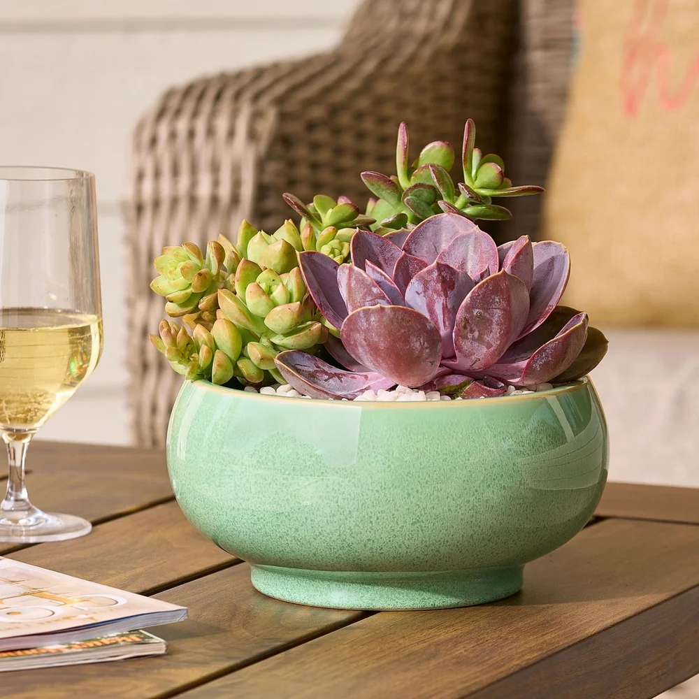 glazed ceramic pot with drainage stylish indoor pot plants decor tabletop and shelf display