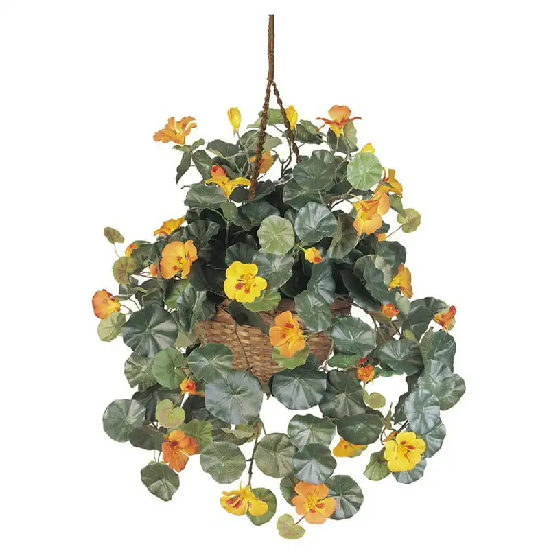 

Gold Nasturtium Plant Artificial Flowers in Hanging Basket Bouquet wrapping paper Eucalyptus leaves Blue flowers artificial Peon