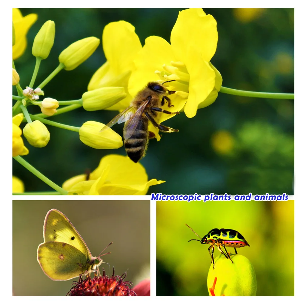 Рисунок 3 - 4K HD 30-120 мм Профессиональный