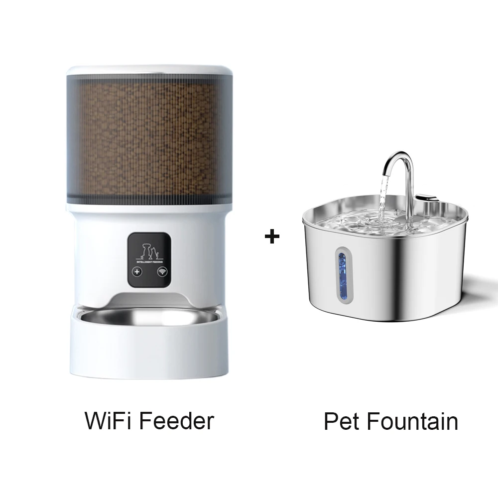 WiFi and Fountain