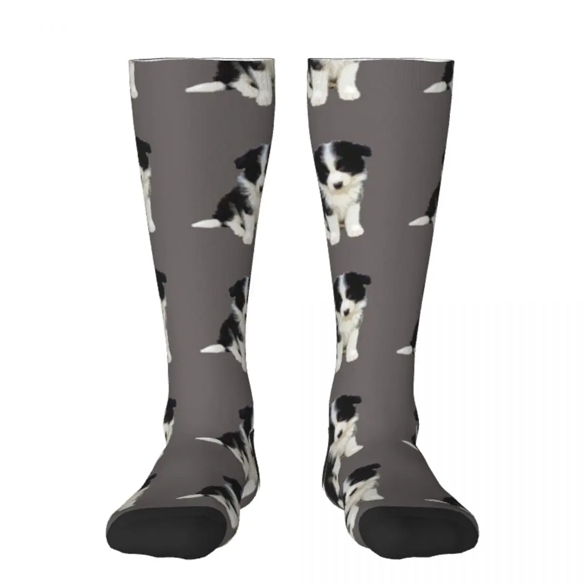 

Носки Border Collie Pup, летние носки для мужчин и женщин, оптовая продажа