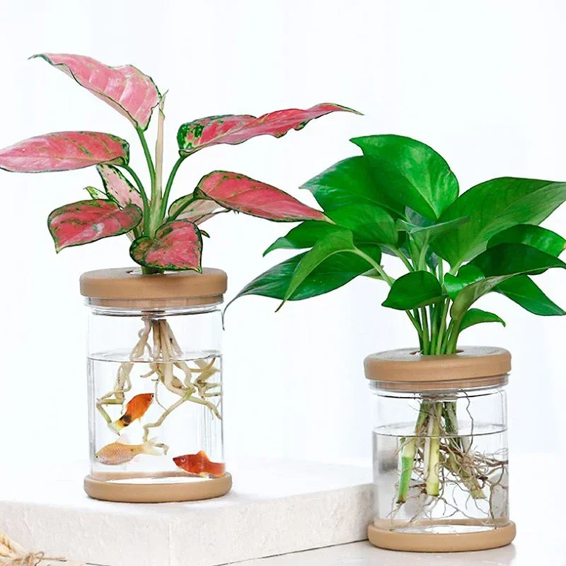 Vaso idroponico vaso per piantare l'acqua vaso di plastica per piante contenore elegante fioriera acquaponica Home Desk Officer Decor vaso di fiori  15