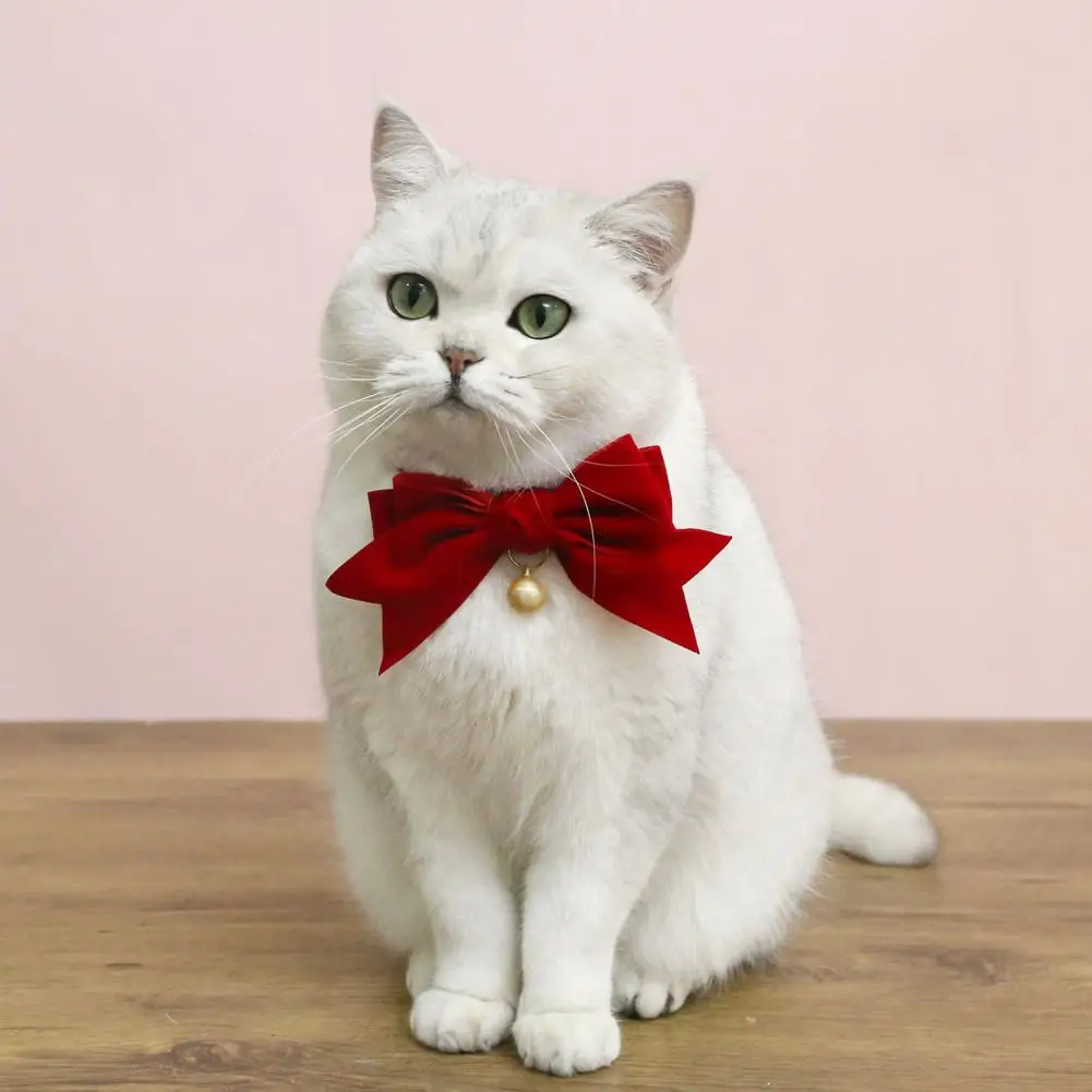 Title 10, Pet Collar Exquisite Comfortable Decorative Pet...