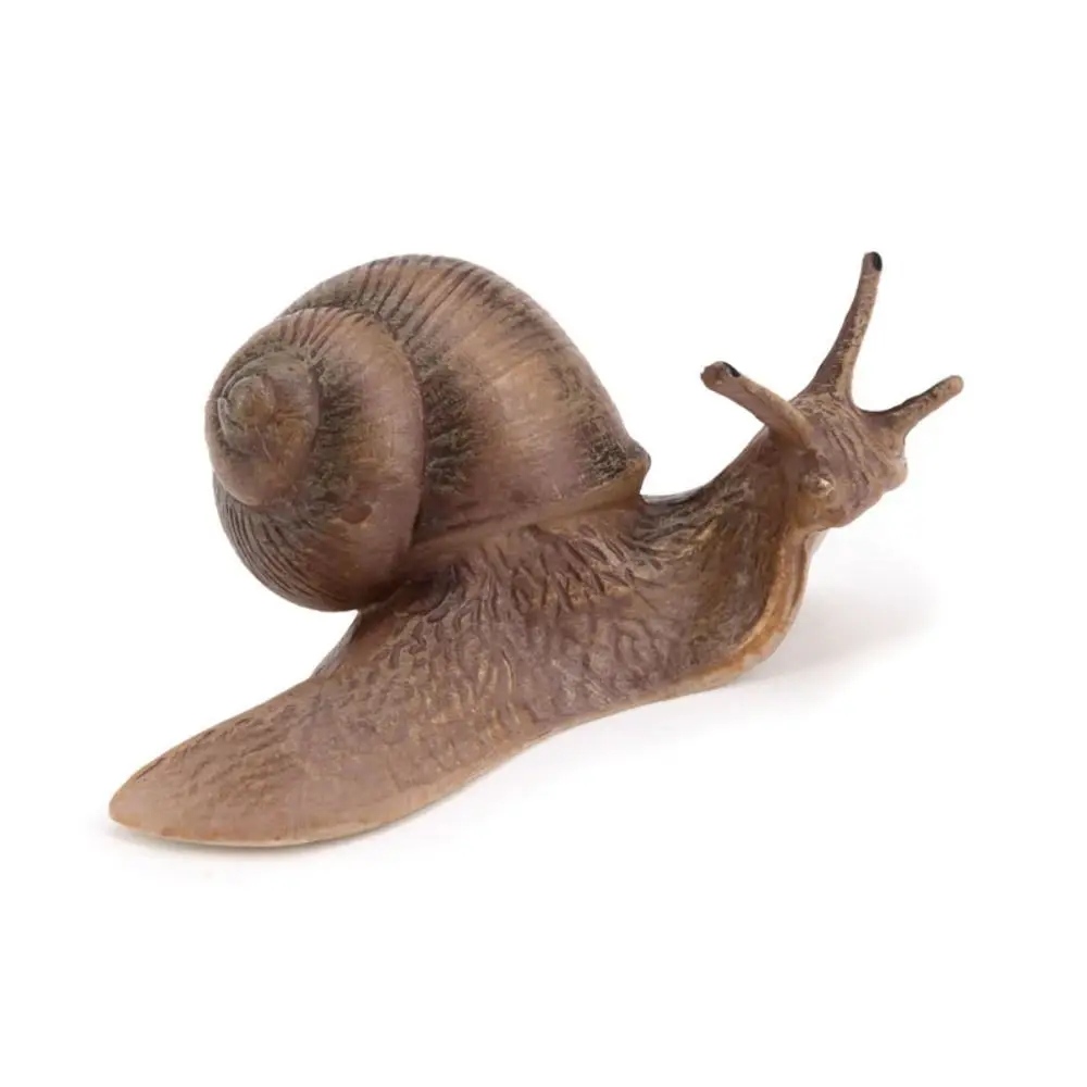 Delicate Solid Micro Landscape Children's Cognitive Education Snail Statue Simulation Insect Snail Model Garden Decoration