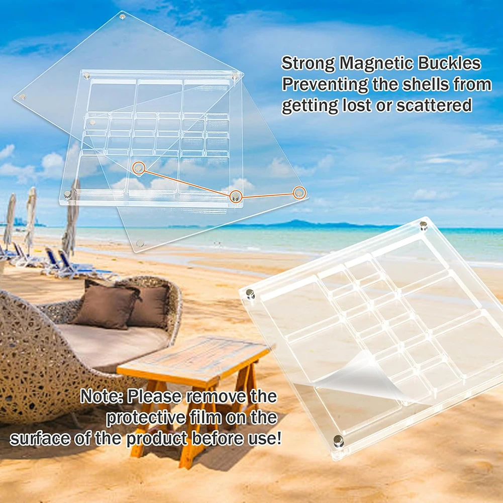 Acrylic Seashell Storage Box Multi Grid Large Size Seashell Bead Nail Jewelry Small Items Collection Display Box For  Home Use 6
