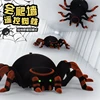 2024 New 2.4g Wireless Remote Control Simulation Wall Climbing Spider Land Wall Climbing Dual-Mode Children'S Remote Control Toy 1