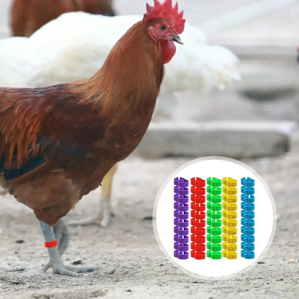 Description Picture 3 of item1.6cm 01~50 Chicken Foot Ring Turkeys Quail Foot Ring Easy Install & Remove Manually Poultry Carry Foot Ring 50/100 Pcs