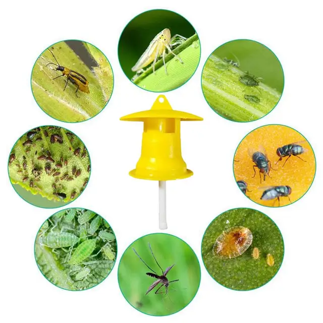 1Db Gyümölcslégy Csapda Gyilkos Műanyag Sárga Drosophila Légy Fogó Kártevő Rovarvezérlés Az Otthoni Gazdaságok Nagykereskedelemhez - Image 6
