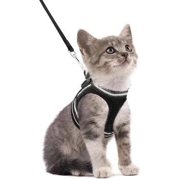 Escape Proof Cat Harness 1