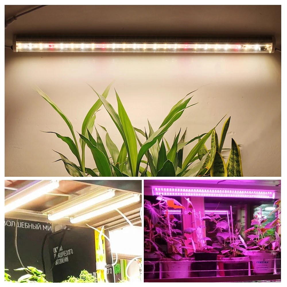 Tubo de luz LED de espectro completo para cultivo, barra de lámpara resistente al agua IP65, fitoamplificador para plantas, flores y plántulas, tienda de invernadero, 1-6 piezas, 220V