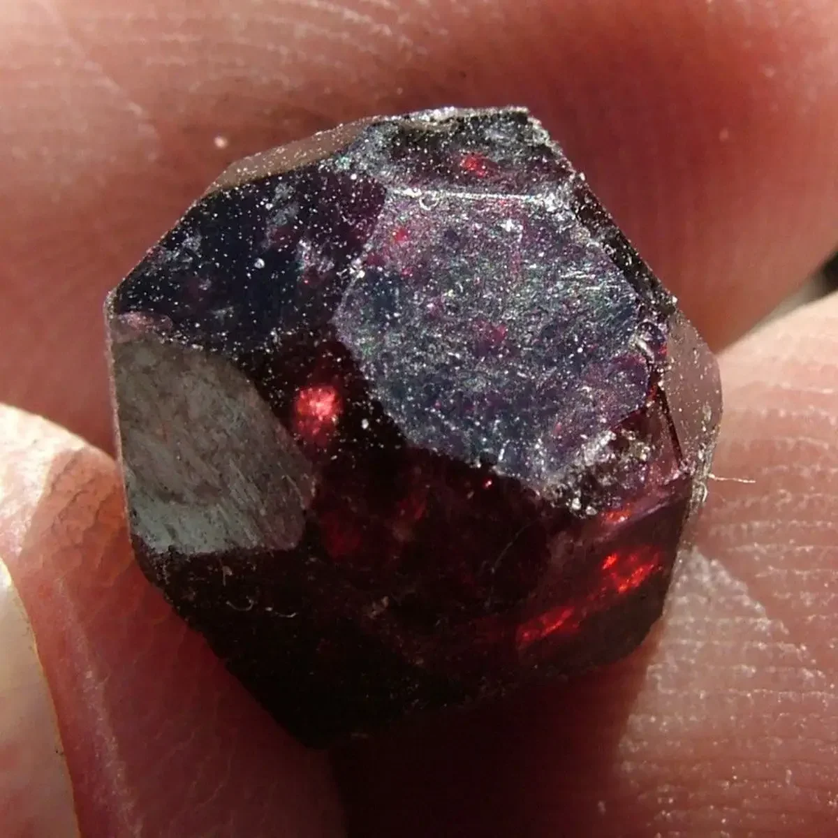 1Pc Red Natural Garnet Quartz Crystal Gemstone Healing Energy Stone Garden Yard Home Degaussing Rough Mineral Specimen Decor New gemstone specimen