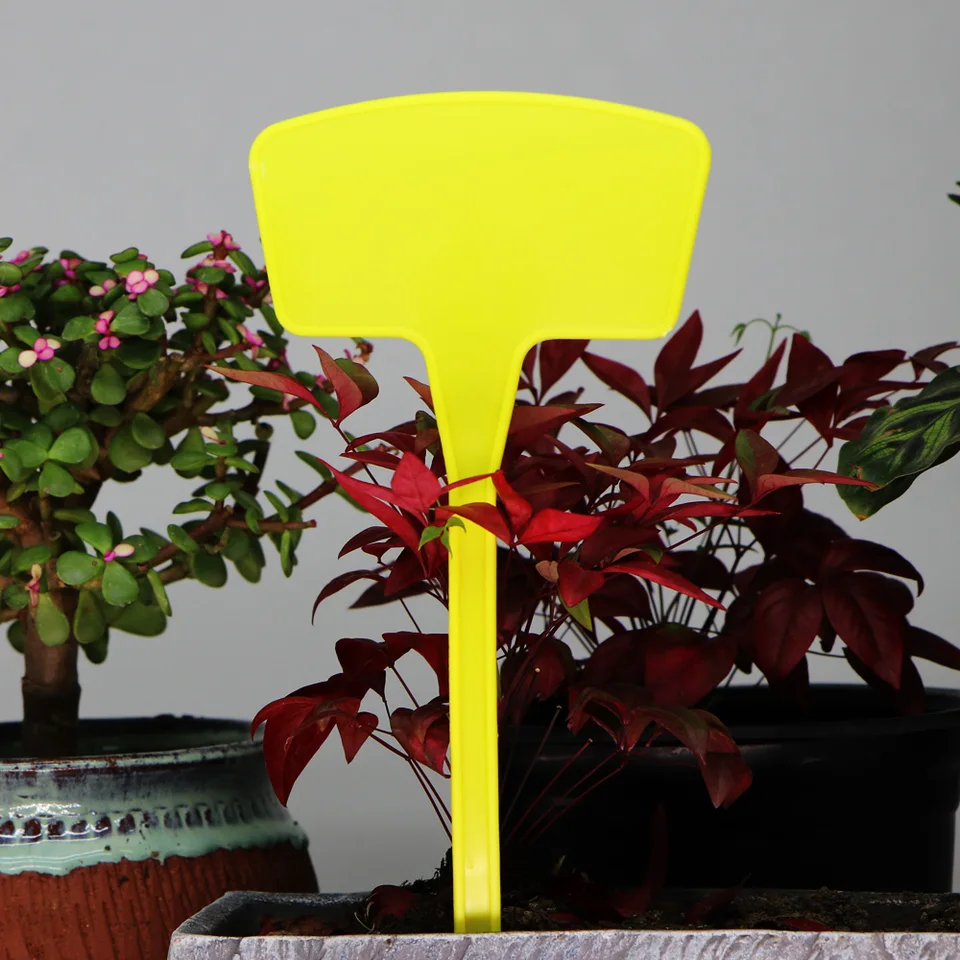 100 Etichette Per Piante In Plastica Gialle | Impermeabili, Riutilizzabili, 10x2 Cm, Per Orto, Semi, Vasi, Giardinaggio, Scrivibili Con Matita - 3