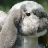 Lop Ear Rabbit High Fidelity Anime Cute White Brown Bunny Plush Toys Lifelike Animals Simulation Stuffed Doll Toy Gifts For Kids 3