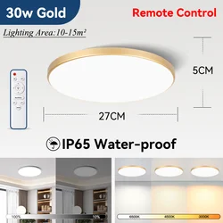 Dimmable LED Ceiling Lamp - Waterproof Round Indoor Light, 30/40W for Living Rooms and Bedrooms, 220V (1pc)
