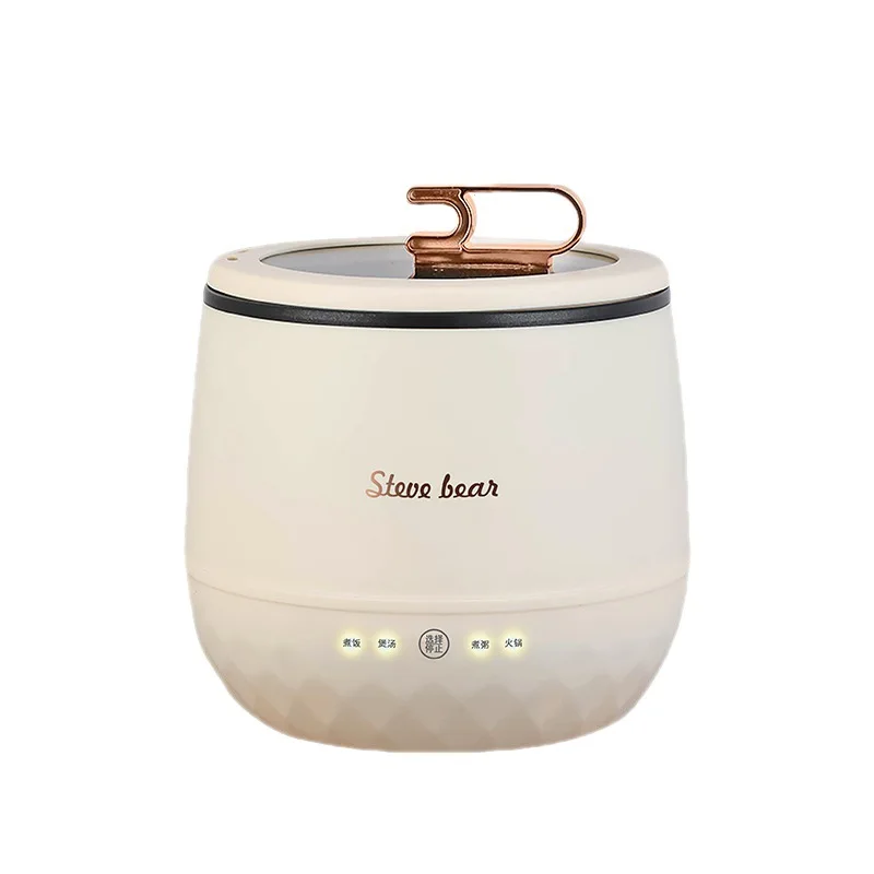  110V Non-Stick Mini Rice Cooker with Steamer and 10