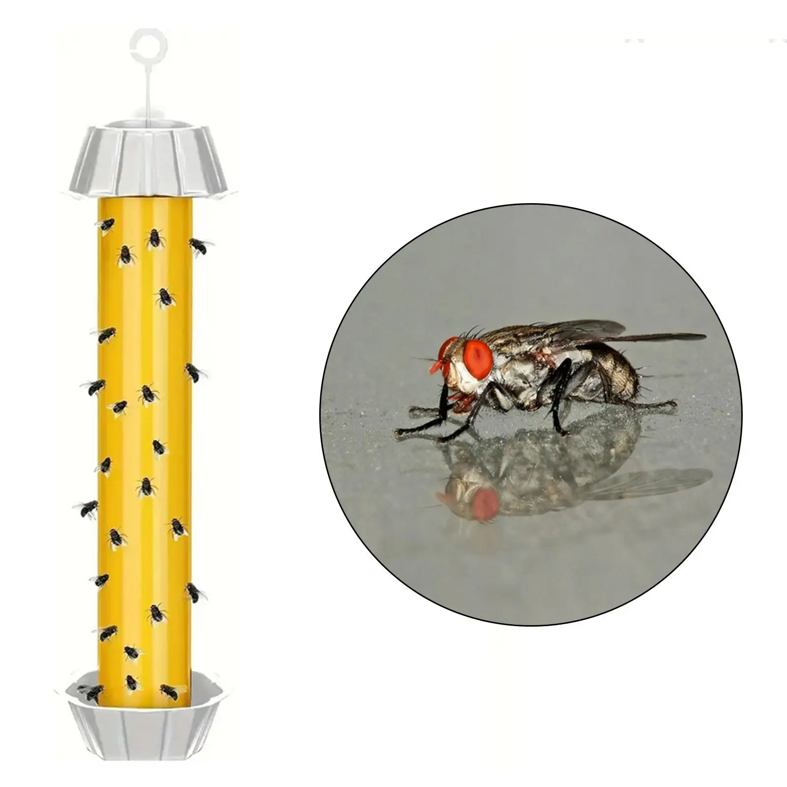 Fly Catcher Fruit Gnat Trappole Trappola Per Mosche Per Camera Da Letto Indoor Outdoor Hotel
