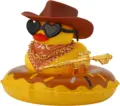 Cowboy Hat F