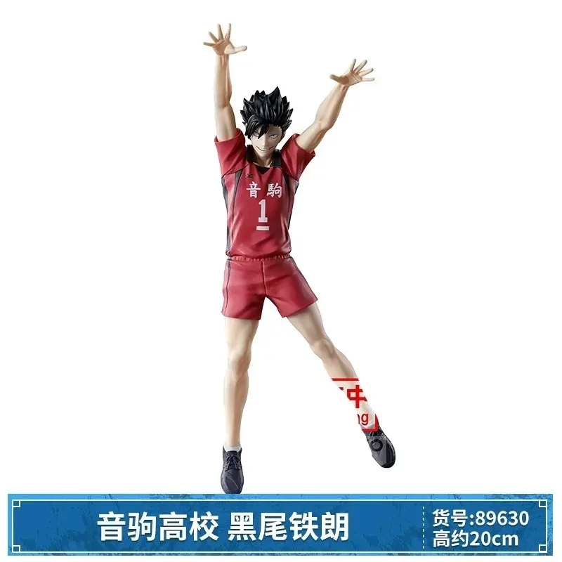 S7c3a6917f9bb46cc8fd011c810e2e787z - Haikyuu Store
