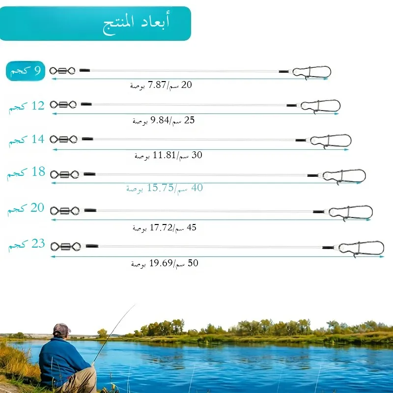 صورة 2