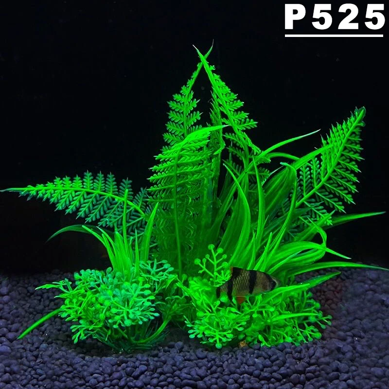 P525