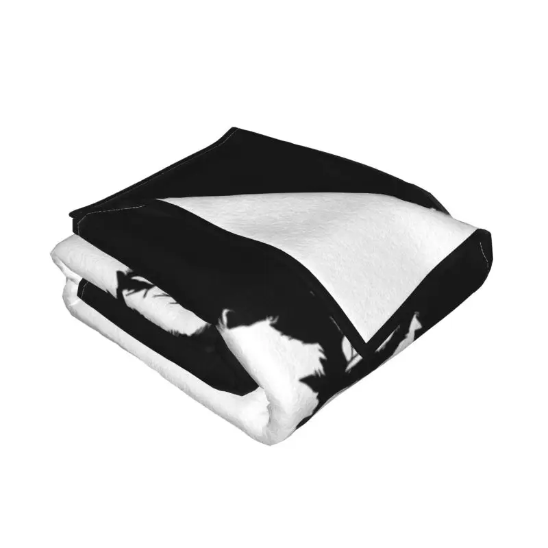 Kasabian ��� ���Ŀ� �ε巯�� ����� ħ�� ħ�� ��Ʈ