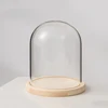Diameter=23cm Height=25cm 30cm 35cm 40cm Big Size Glass Dome Home Decoration Log Base Transparent Cover DIY Friend Favor Gift 5