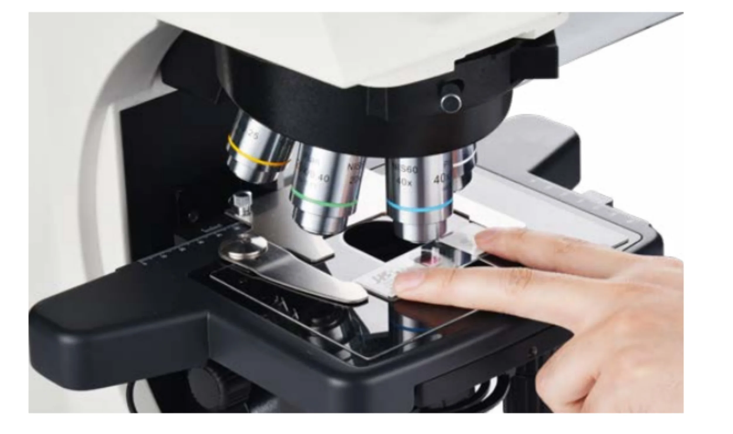 니콘 OF011 시리즈 연구용 직립형 생물 현미경과 비교하여