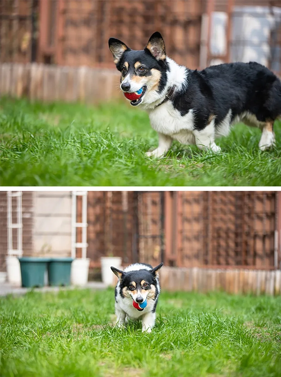 S7c40a7e00db442ad93878fcaa85f82f4h