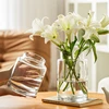Vase Decoration Living Room Flower Arrangement Glass High-end Sense Transparent Water Treatment 1