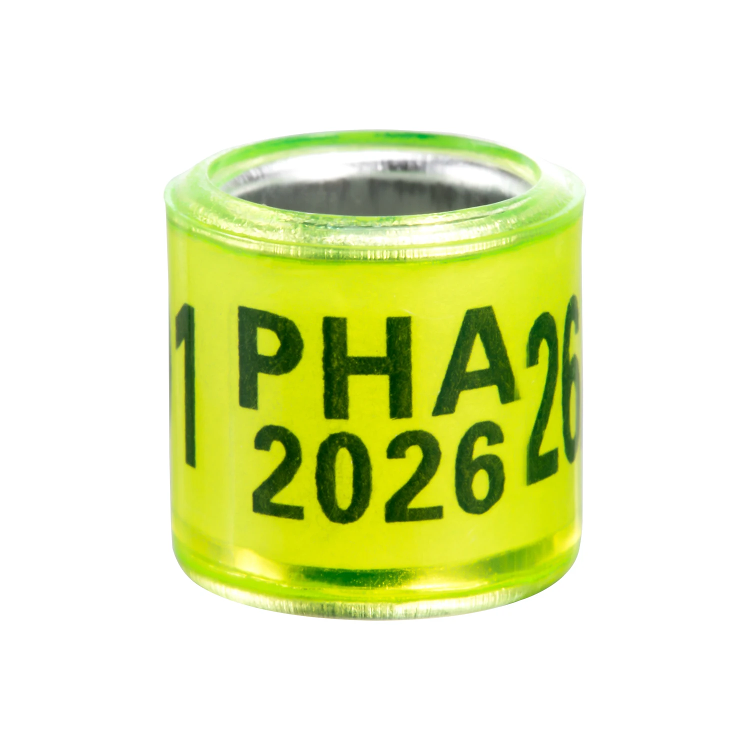 2026 yellow
