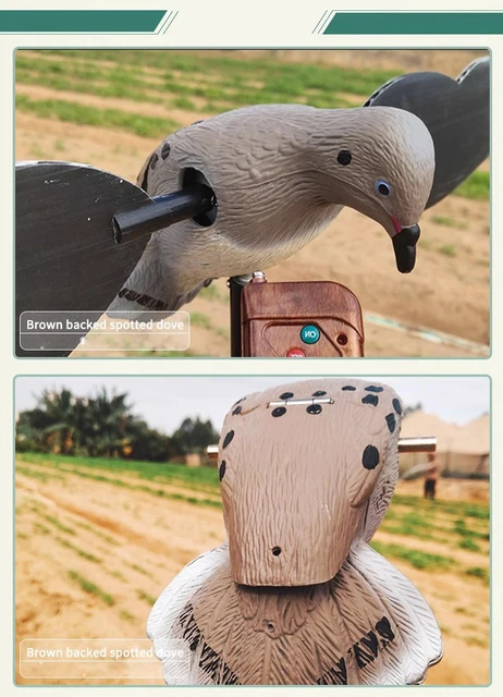 Richiamo Per Piccione Da Caccia IBUGER - Esca Con Ali Rotanti, Realistica, Per Campi E Stagni - Foto 2