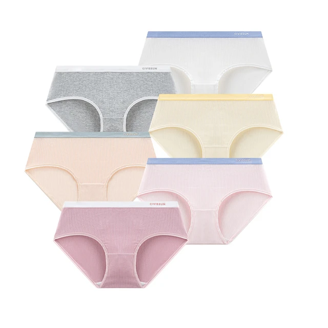 2Pcs/set Sexy Women's Underwear Seamless Cotton Panties Female Classic  Underpants Comfort Briefs Plus Size Lingerie M-XL - AliExpress